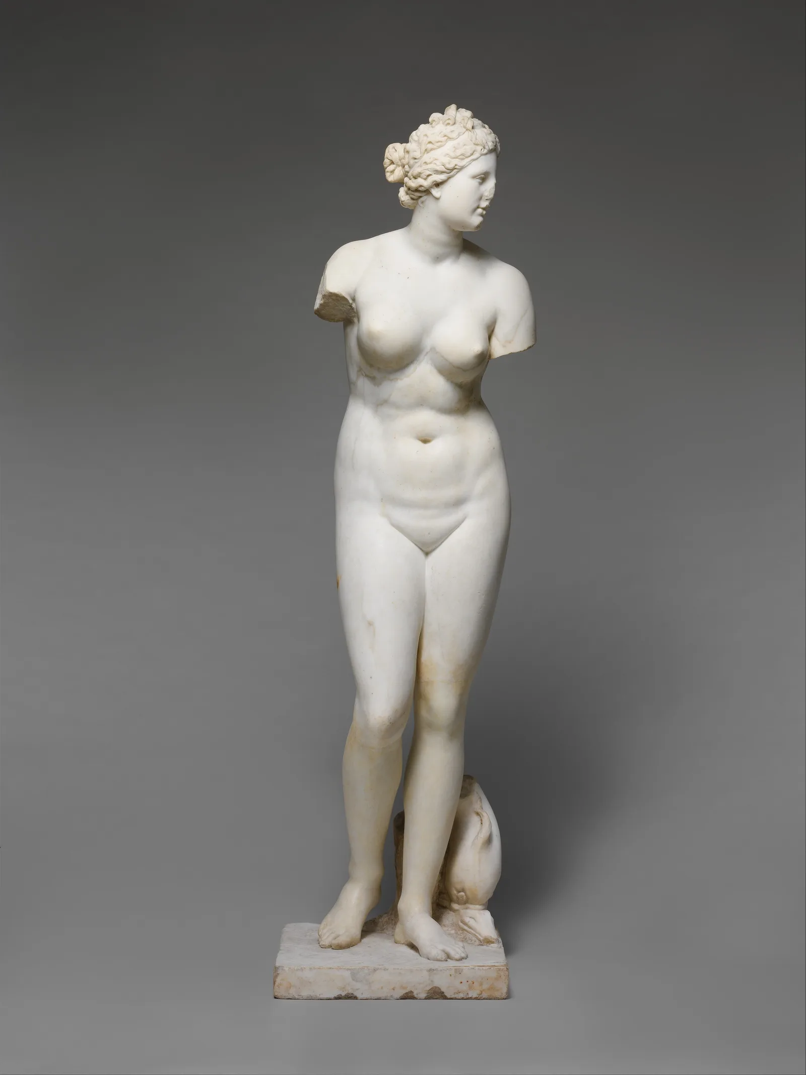 Estatua de mármol de Afrodita con el torso desnudo y la tela cayendo, copia romana de un modelo helenístico
