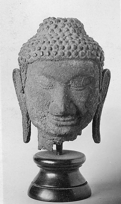 Cabeza de Buda de piedra con los párpados entornados, los rizos en espiral y los lóbulos alargados