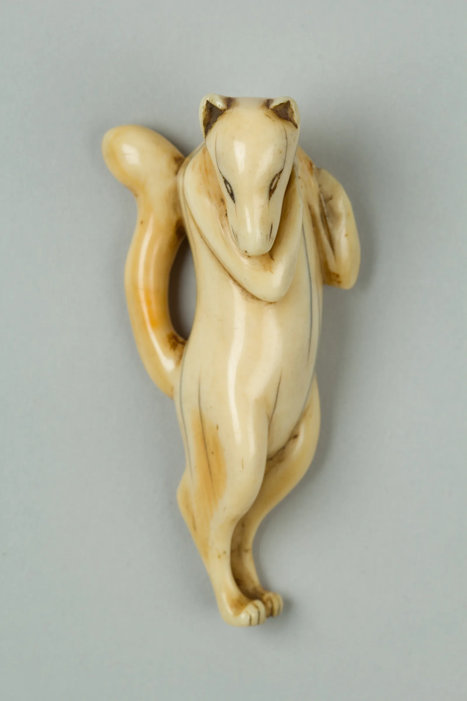 Netsuke japonés del siglo XIX de marfil con forma de zorro acurrucado
